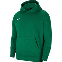 Nike Park 20 Fleece Hoodie Kinder pine green/white M