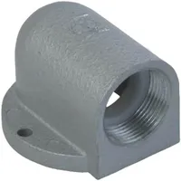 Kaiser 5529.10 Flanschwinkel PG29