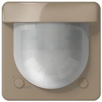 Jung Automatik-Schalter CD 17281 GB