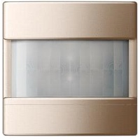 Jung Automatik-Schalter A 17181 CH