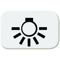 Busch-Jaeger Tastersymbol Licht 2525 LI-214