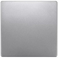 Siemens DELTA style Wippe Mittelstellung, platinmetallic