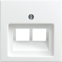 Busch-Jaeger Zentralscheibe alpinws f.Datenkommunikation 1803-02-914