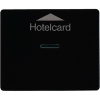 Jung Hotelcard-Schalter SL590CARDSW
