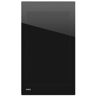 Gira 208905 Displaymodul G1 Schwarz