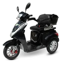 Efun ECO ENGEL 501 Schwarz, 25 km/h