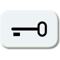 Busch-Jaeger Tastersymbol Schlüssel 2525 TR-214