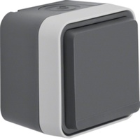 Berker Klappdeckelsteckdose Aufputz W.1 Grau 1 St.