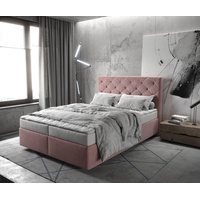 DeLife Boxspringbett Dream-Great 140x200 cm Mikrofaser Rosé mit Matratze
