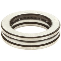SKF 51106