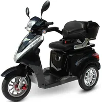 Efun ECO ENGEL 501 Schwarz 30 Ah Li-Io Akku