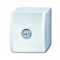 Busch-Jaeger SCHUKO-Steckdose al/ws mit Schloss 20 EWSL-54