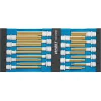 HAZET Schraubendreher-Steckschlüsseleinsatz-satz 163-573/20 20-teilig