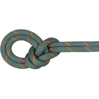 Mammut Crag Workhorse Dry 9.9 Mm Rope Grün 70