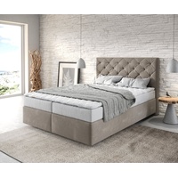 DeLife Boxspringbett Dream-Great Mikrofaser Beige mit Matratze und Topper