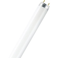 Osram LUMILUX INTERNA 36W G13 (325699)