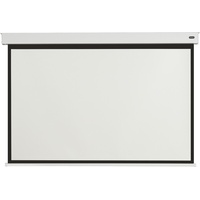 Celexon Batterie Leinwand V2.0 Motor Professional Plus 4:3 220x165cm