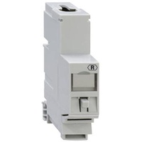 Rutenbeck REG-Montageadapter für Universalmodul UM-MA REG