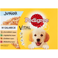 PEDIGREE Multipack Junior in Gelee 12 x 100 g