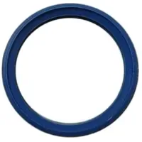 Bosch Lippendichtung DN80 blau