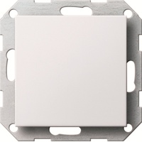 Gira Blindabdeckung rws System55 026827