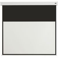 Celexon Batterie Leinwand V2.0 Motor Professional Plus 16:9 180x102cm