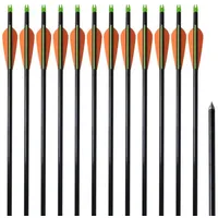 VidaXL "vidaXL Recurvebogen-Pfeile 30\" cm Fiberglas 12 Stk."