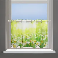 Delindo Lifestyle Margeriten Stangendurchzug 85 x 45 cm grün