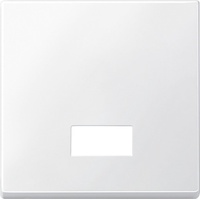 Merten 434819 Wippe mit rechteckigem Symbolfenster,