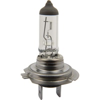 Herth+Buss ELPARTS Glühlampe, 12V