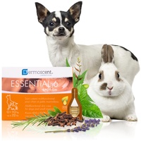 Dermoscent Essential 6 spot-on Hund 1-10 kg 4 x