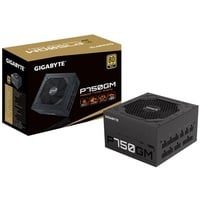 Gigabyte P750GM 750 Watt ATX Netzteil 80+ Gold voll