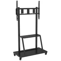 Celexon Adjust-55110MP Economy höhenverstellbarer Display Rollwagen
