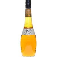 Bols Apricot Brandy 24% Vol.