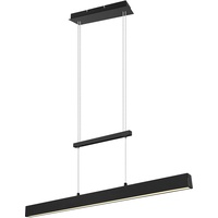 Trio Reality Leuchten LED Pendelleuchte Paros schwarz matt Switch