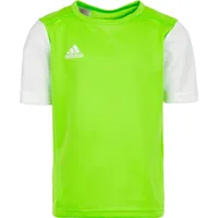 Adidas Estro 19 Trikot Herren - grün/weiß 2XL