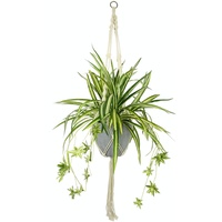 I.GE.A. Künstliche Wasserlilie Chlorophytum Comosum Atlantic Grünlilie Grünpflanzen Spinne