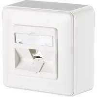 BTR Netcom Anschlussdose E-DAT modul 8(8) AP 1309140002-E rws