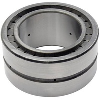 INA Zylinderrollenlager SL182212 C3 Innen-Ø 60 mm Aussen-Ø 110