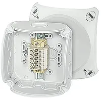 Hensel Reihenklemmenkasten RK 0405 T