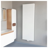 HENRAD Belrad Vertikal Heizkörper Plan T22 1600 x 600
