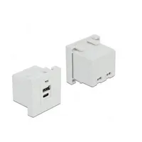 DeLock Easy 45 USB Ladeportmodul 1 x USB Typ-A