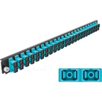 DeLock 43366 LWL-Frontblende 1 HE