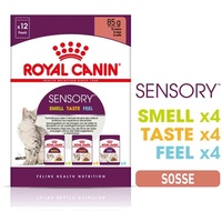 Royal Canin Sensory Multipack in Soße 12 x 85