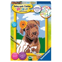 Ravensburger Malen nach Zahlen 1 St. mehrfarbig