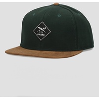 Iriedaily Jugga Snapback Cap green mel