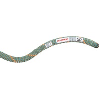 Mammut Crag Workhorse Dry 9.9 Mm Rope Grün 80