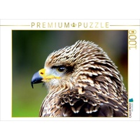 Calvendo Greifvögel - Junger Rotmilan Puzzle