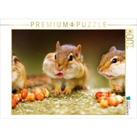 Calvendo Streifenhörnchen Puzzle