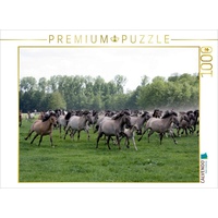 Calvendo Dülmener Wildpferde Puzzle